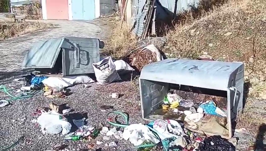 Erzurum’da Boz Ayılar Köylüleri Bezdiriyor