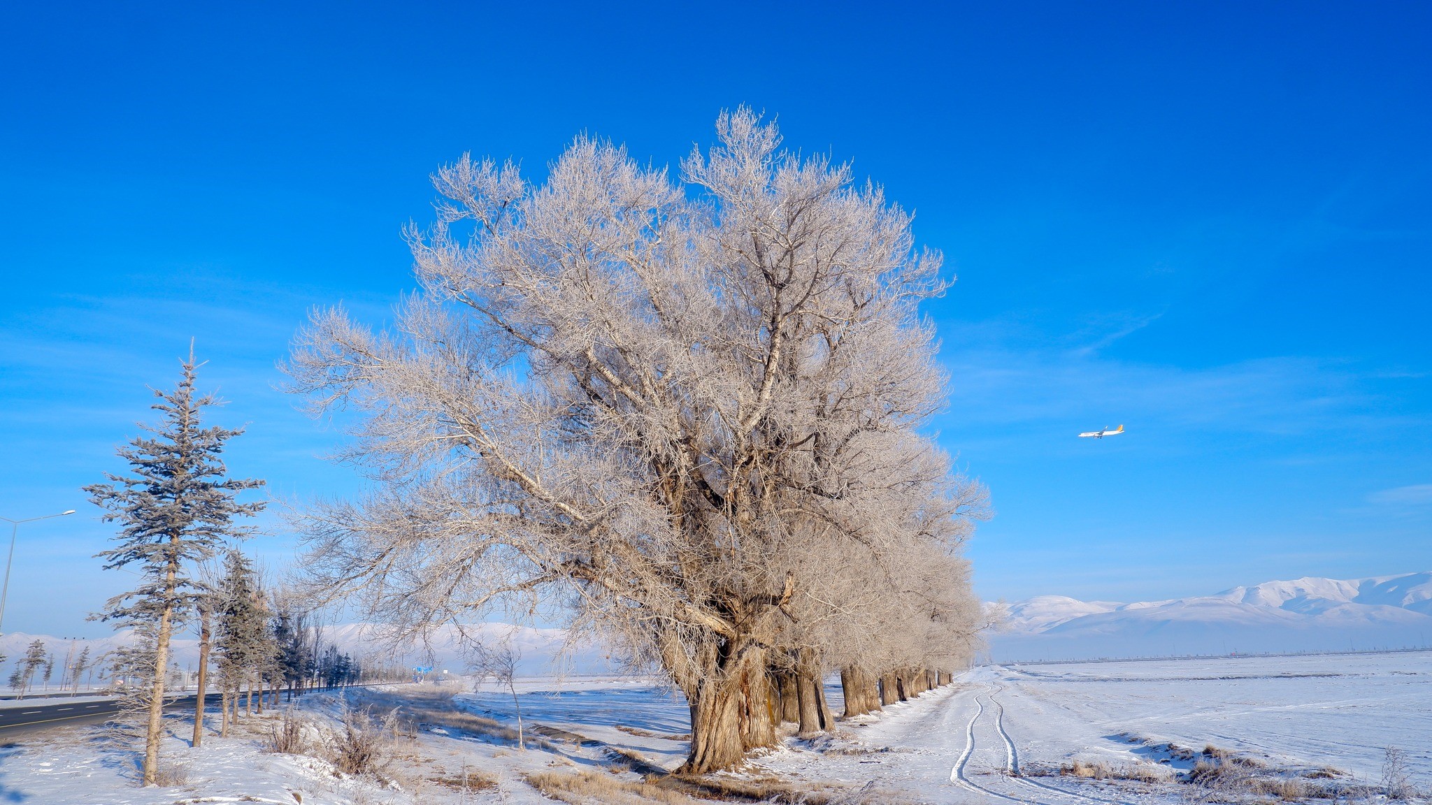 Doğu Anadolu’da Dondurucu Soğuklar: Göle’de Eksi 27,5 Derece