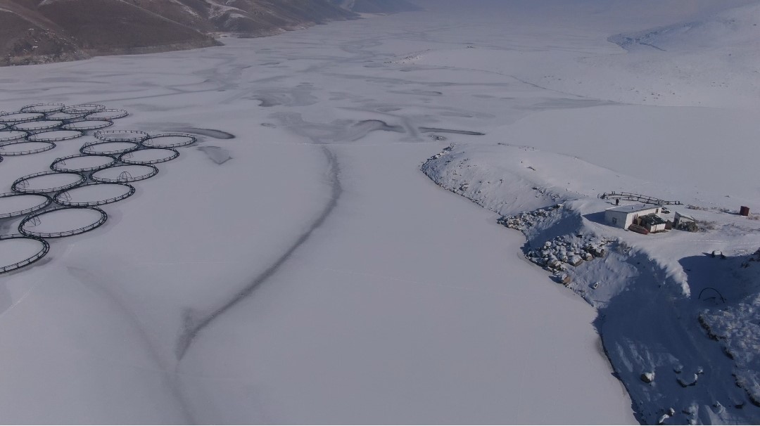 Van’da Dondurucu Soğuklar Barajları Buzla Kapladı