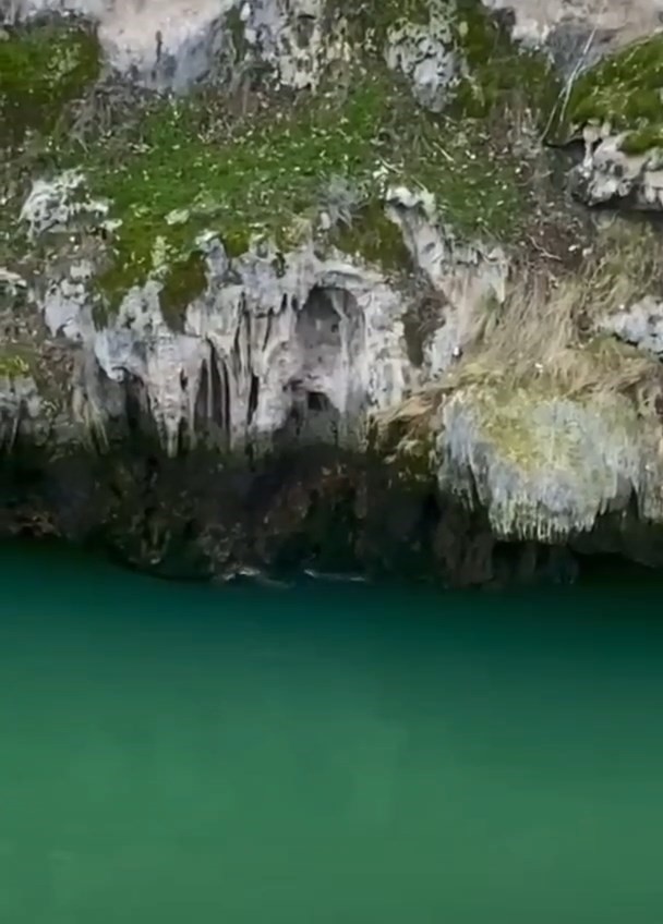 Elazığ’da Su Samurları Görüntülendi