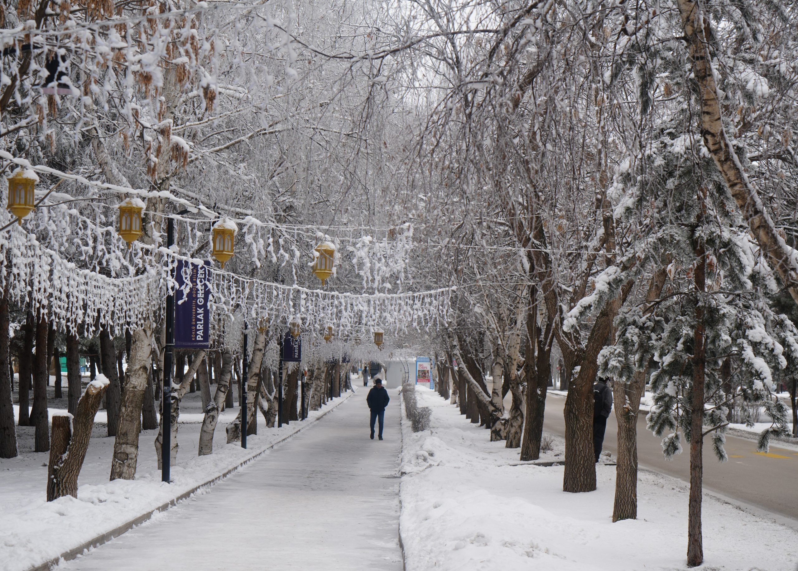Erzurum’da Kırağı Manzarası; Uzmanlardan Çığ ve Don Uyarısı