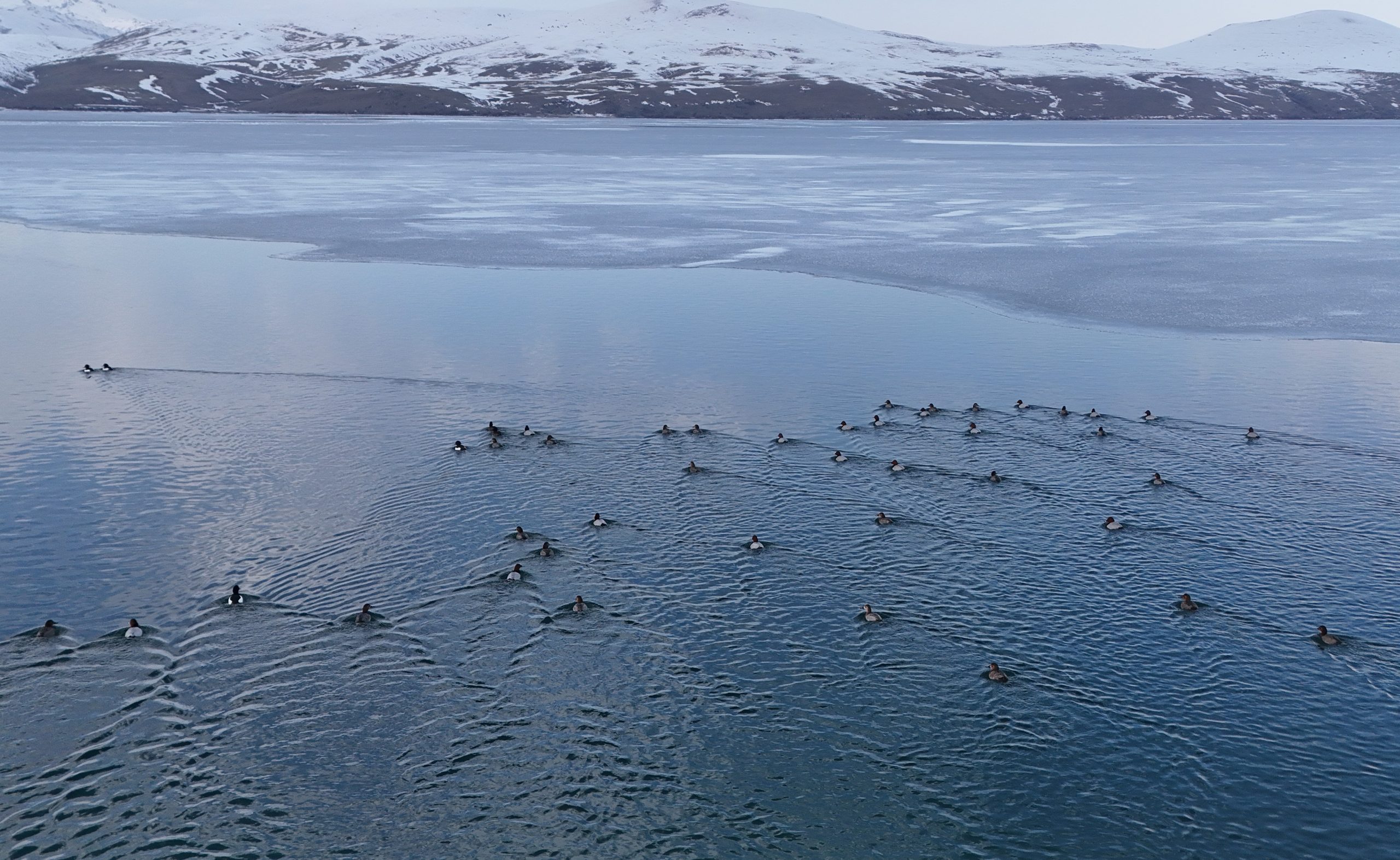 Nazik Gölü’ndeki Buzlar Çözülüyor: Doğanın Uyanışı Başladı