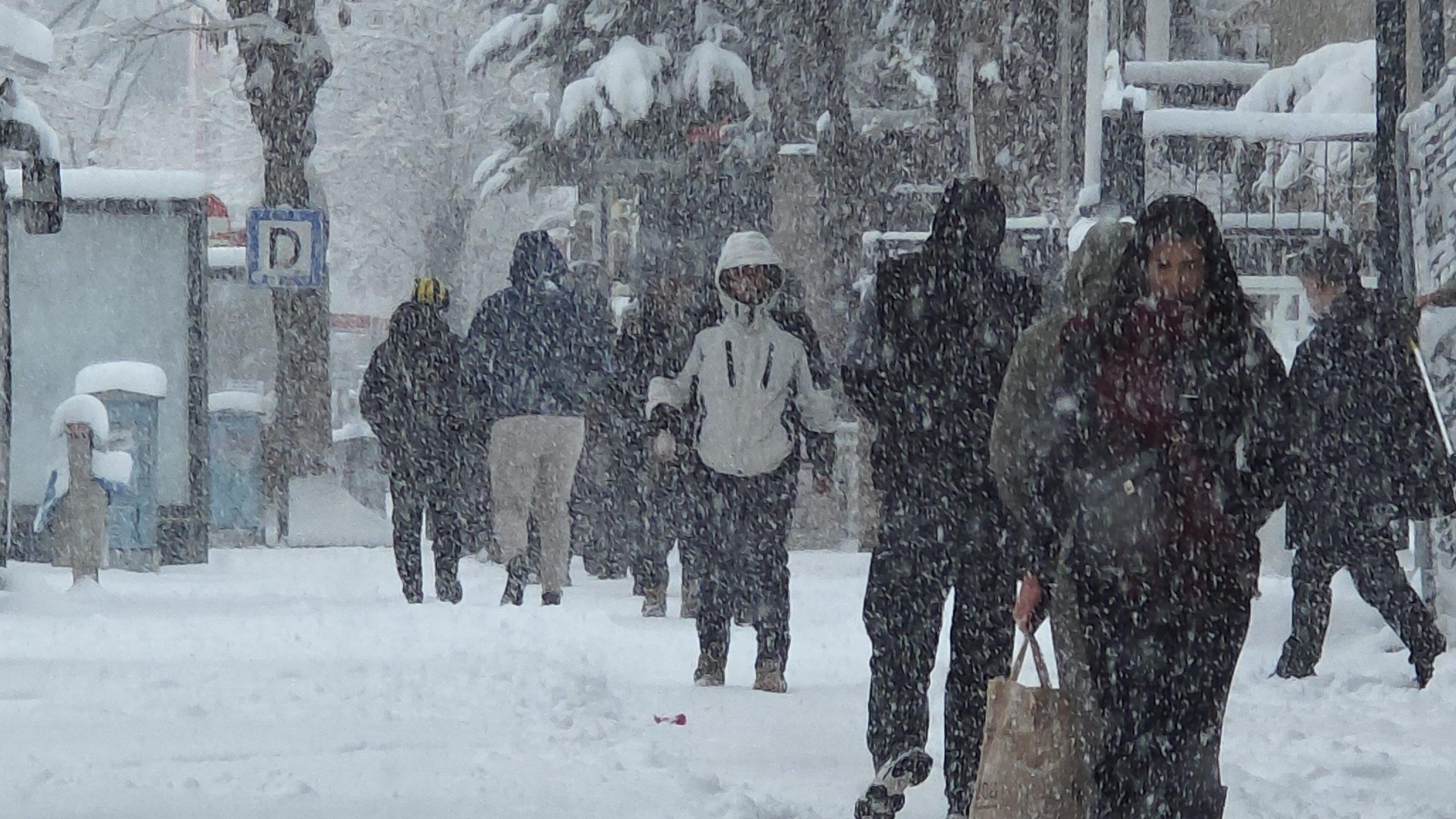 Muş ve Van’da Mart sürprizi: Doğu yeniden beyaza büründü
