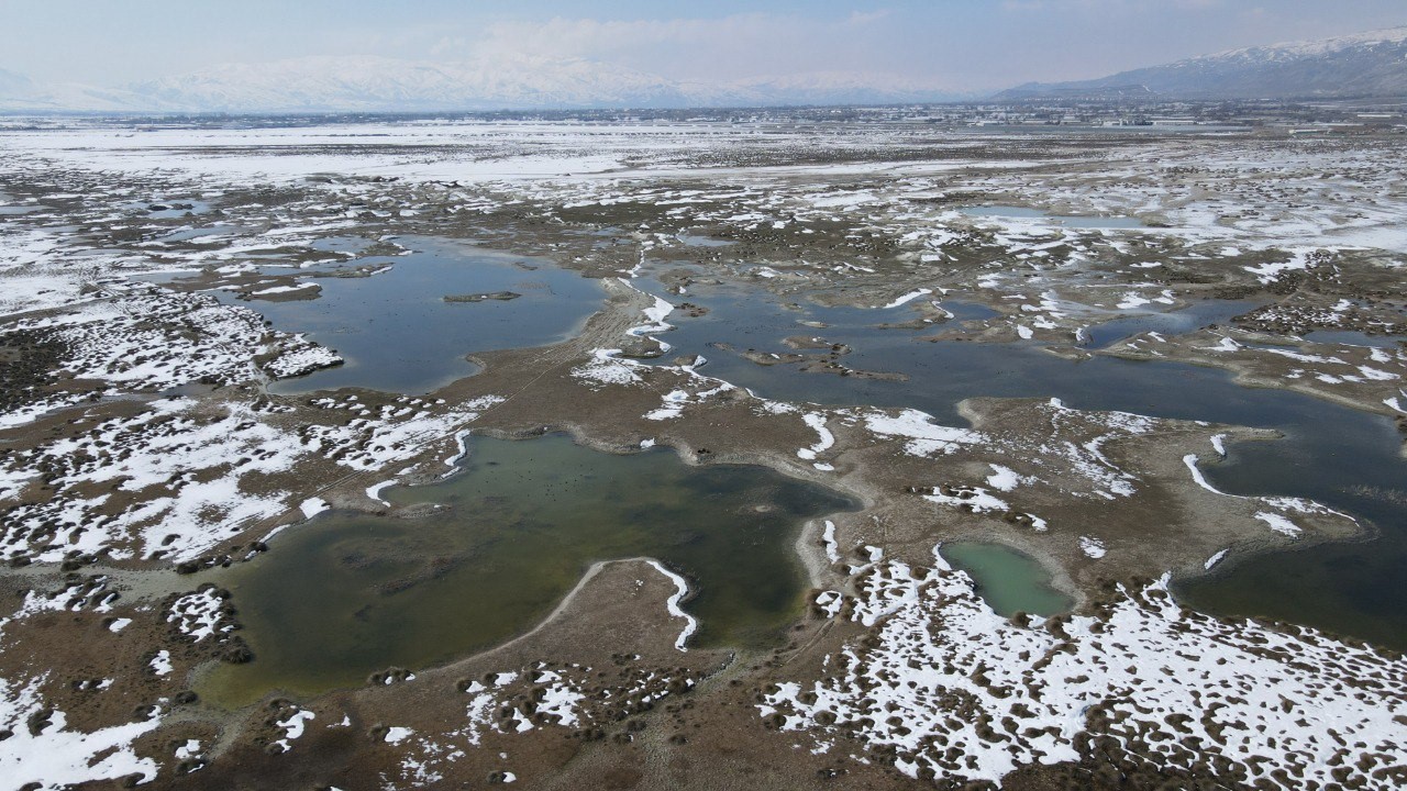 Ekşisu Kuş Cenneti’nde kuşların yaşam mücadelesi drone ile görüntülendi