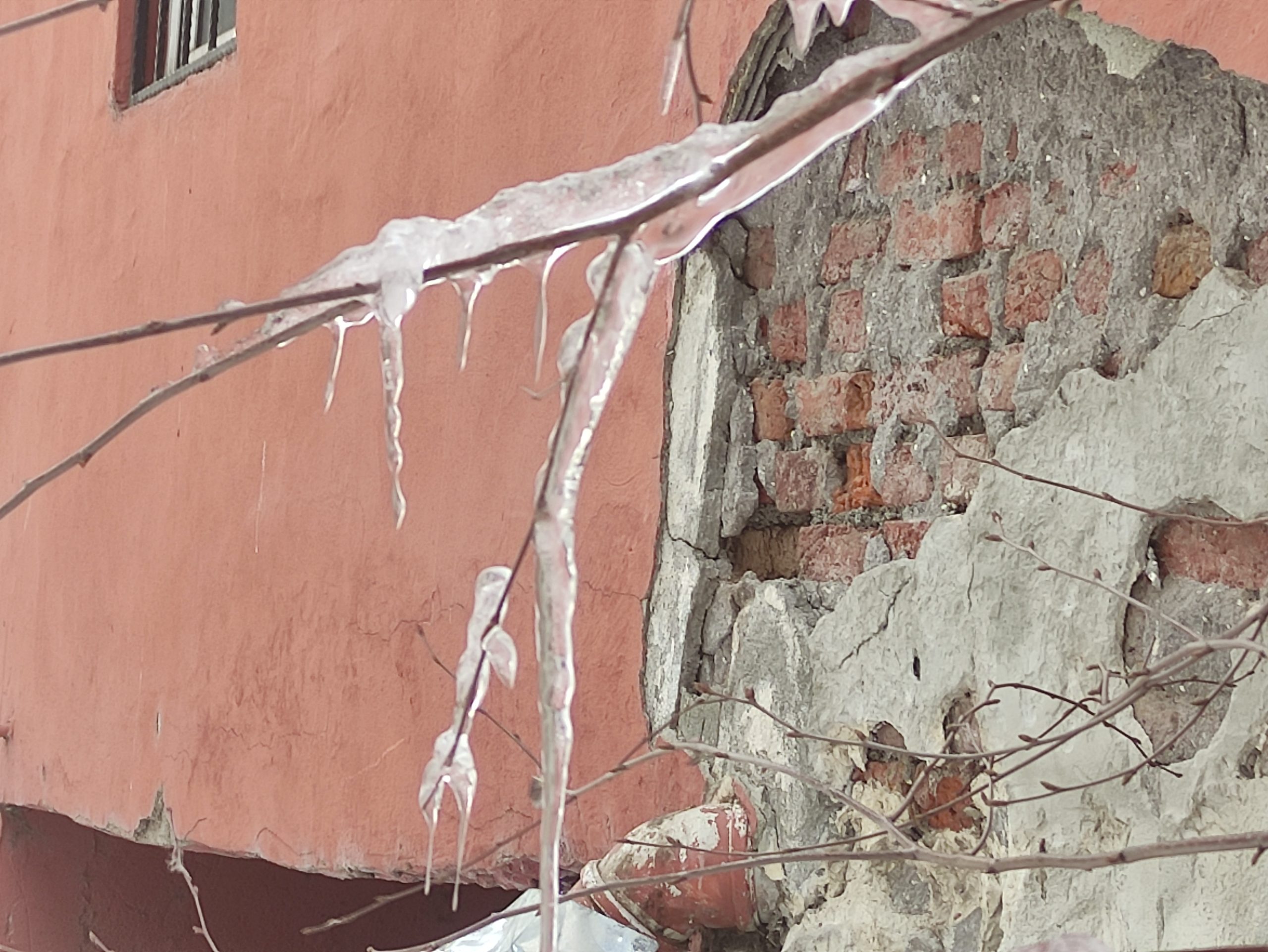 Ardahan’da Dondurucu Soğuklar: Göle’de Ağaçlar Buz Tuttu