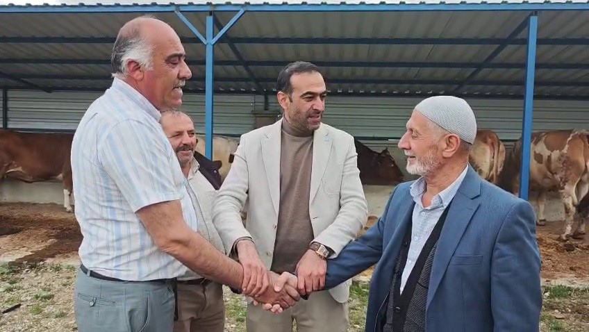 Bayram Yaklaşırken Kurbanlık Fiyatları Cep Yakıyor