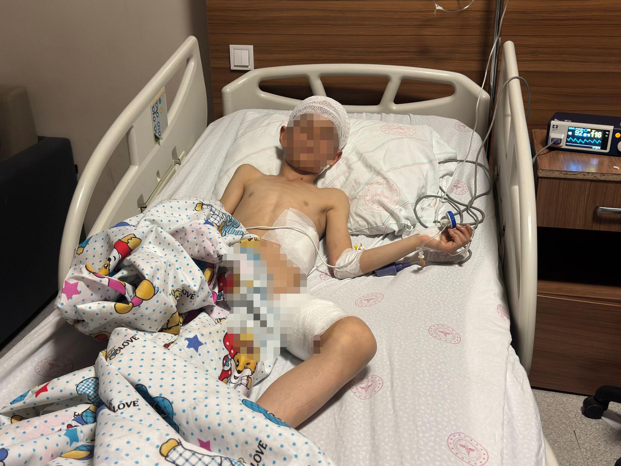 Van’daki köpek dehşetinde kan donduran detaylar