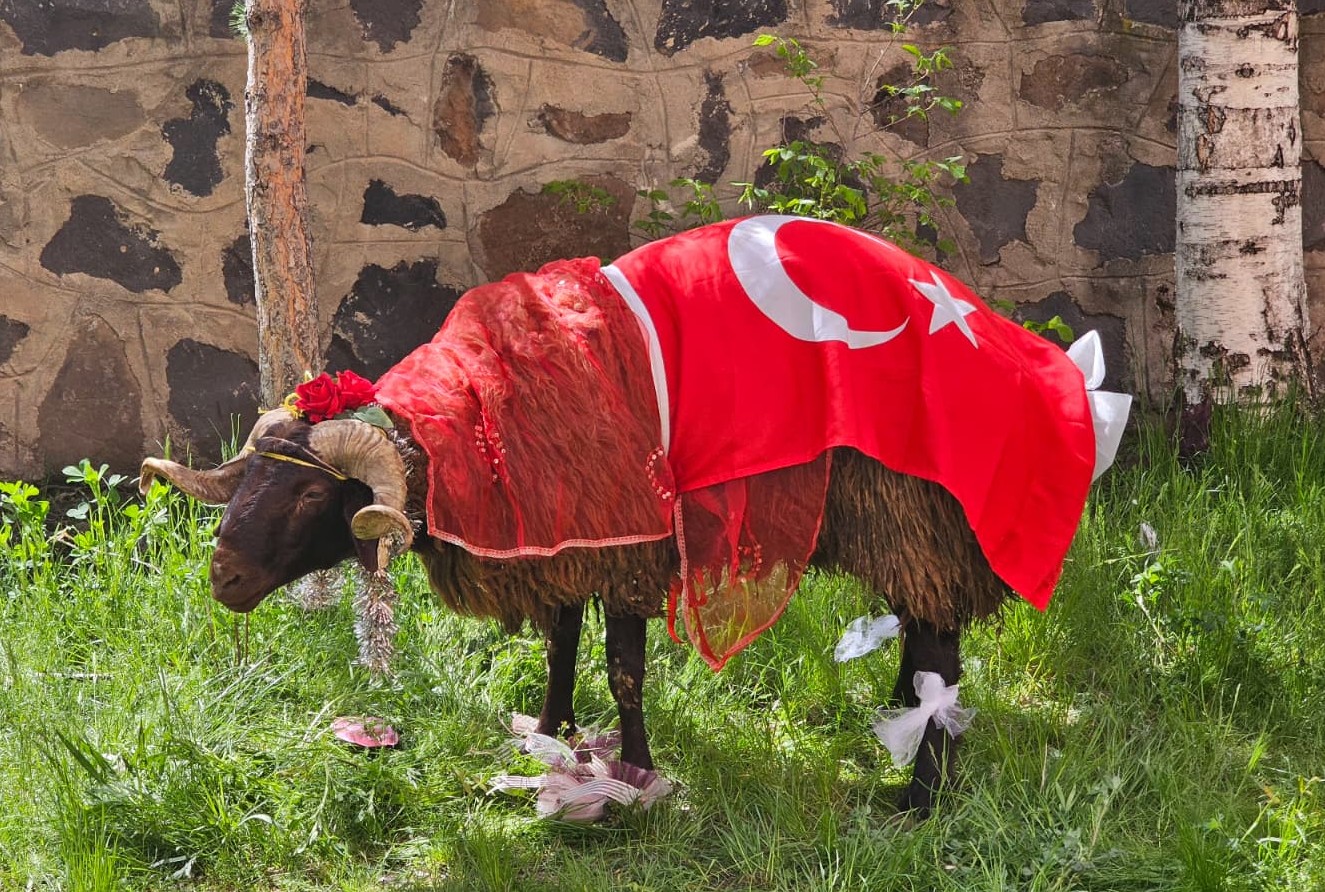 ERZURUM’DA ASIRLIK “NİŞAN KOÇU” GELENEĞİ BAYRAM ÖNCESİ YENİDEN CANLANDI