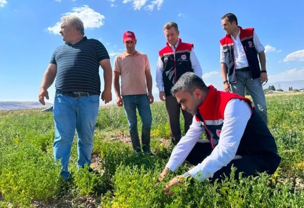 Erzurum’da Bakliyat Atağı: TAKE Projesiyle Üretim Alanları Yakından Takip Ediliyor