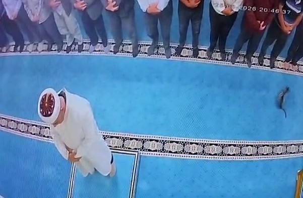 Erzurum’da camide kediyi tekmeleyen şahıs gözaltına alındı