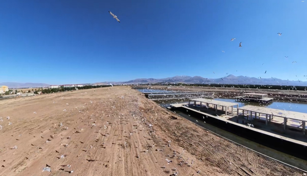 Erzurum’da Binlerce Martı Havalandı! Görüntüler Belgesel Sahnelerini Aratmadı
